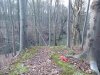 DSC_1901.jpg
