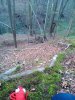 DSC_1902.jpg