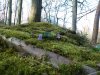 DSC_1904.jpg