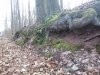 DSC_1906.jpg