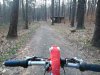 DSC_1910.jpg