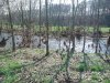 DSC_1914.jpg