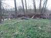 DSC_1917.jpg