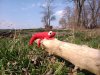 DSC_1920.jpg
