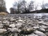 DSC_1923.jpg