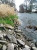 DSC_1924.jpg