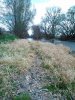 DSC_1927.jpg