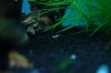 DSC04814.JPG