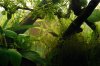 DSC04835.JPG