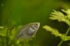 DSC_0752.JPG