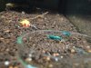 DSC08838.JPG