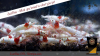 JustBee-PRL-Shrimps-apr7.png