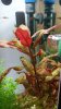 DSC_0309_small.jpg DSC_0309_small.jpg