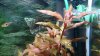 DSC_0310_small.jpg DSC_0310_small.jpg