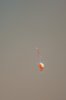 DSC06536.jpg