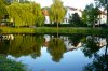 Himmlische Ruhe auf dem Teich.jpg