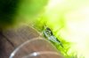aDSC_0658.JPG