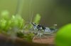 aDSC_0667.JPG