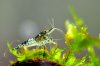 aDSC_0685.JPG