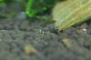 DSC04984.JPG