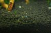 DSC05047.JPG