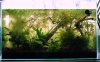 DSC04975.JPG
