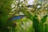 DSC05005.JPG