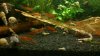 uploadfromtaptalk1399752328747.jpg uploadfromtaptalk1399752328747.jpg