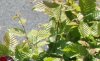 IMG_6390.JPG IMG_6390.JPG