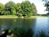 20130816_171139_4.neuteich..jpg