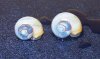 101_4504.JPG