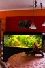 Aquarium besichtigen.jpg