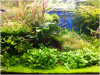 upload_2014-6-17_16-45-59.png upload_2014-6-17_16-45-59.png