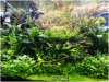 upload_2014-6-17_16-46-50.png upload_2014-6-17_16-46-50.png