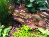 upload_2014-6-17_16-47-7.png upload_2014-6-17_16-47-7.png