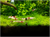 upload_2014-6-17_16-47-50.png upload_2014-6-17_16-47-50.png