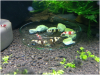 upload_2014-6-17_16-52-11.png upload_2014-6-17_16-52-11.png