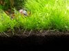 20140617_200244.jpg 20140617_200244.jpg