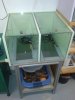20140406_110721.jpg 20140406_110721.jpg