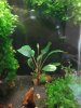 DSC09435.JPG