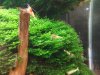 DSC09439.JPG