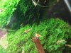 DSC09440.JPG