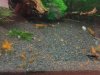 DSC09442.JPG