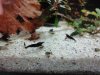 DSC09443.JPG