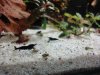 DSC09444.JPG