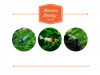 Untitled design.png Untitled design.png
