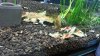 20140508_205659.jpg 20140508_205659.jpg