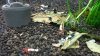 20140508_205752.jpg 20140508_205752.jpg
