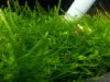 20140629_223334.jpg