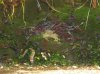 IMG_0010.JPG IMG_0010.JPG
